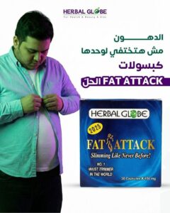 فات اتاك | Fat Attack